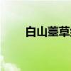 白山薹草组（关于白山薹草组介绍）