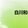 白川和子（关于白川和子介绍）