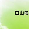 白山乌头（关于白山乌头介绍）