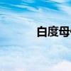 白度母像（关于白度母像介绍）