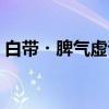 白带・脾气虚证（关于白带・脾气虚证介绍）