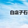 白店子石棚（关于白店子石棚介绍）