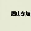 眉山东坡肉（关于眉山东坡肉介绍）
