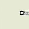 白恒宏（关于白恒宏介绍）