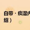 白带・痰湿内盛证（关于白带・痰湿内盛证介绍）
