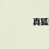 真狐猴（关于真狐猴介绍）