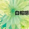 白帽胡同(关于白帽胡同介绍) 白帽胡同(关于白帽胡同介绍)