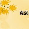 真涡虫（关于真涡虫介绍）