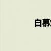 白慕炜（关于白慕炜介绍）