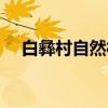 白彝村自然村（关于白彝村自然村介绍）