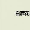 白彦花站（关于白彦花站介绍）