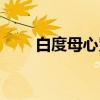 白度母心咒（关于白度母心咒介绍）