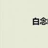 白念峰（关于白念峰介绍）