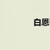 白恩敬（关于白恩敬介绍）