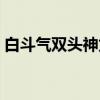 白斗气双头神龙（关于白斗气双头神龙介绍）