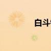 白斗镇（关于白斗镇介绍）