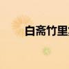白斋竹里集（关于白斋竹里集介绍）
