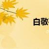 白敬亭(关于白敬亭介绍) 白敬亭(关于白敬亭介绍)