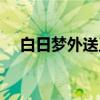 白日梦外送王（关于白日梦外送王介绍）