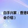 白手兴家：香港家族与社会（关于白手兴家：香港家族与社会介绍）