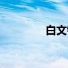 白文镇（关于白文镇介绍）