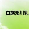 白族邓川乳扇（关于白族邓川乳扇介绍）