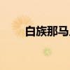 白族那马人（关于白族那马人介绍）