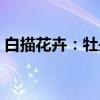 白描花卉：牡丹（关于白描花卉：牡丹介绍）