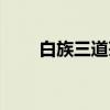 白族三道茶（关于白族三道茶介绍）