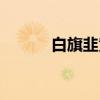 白旗韭黄（关于白旗韭黄介绍）