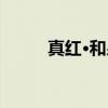 真红·和泉（关于真红·和泉介绍）