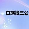 白族接三公主（关于白族接三公主介绍）