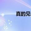 真的见证（关于真的见证介绍）