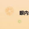 眼内炎(关于眼内炎介绍) 眼内炎(关于眼内炎介绍)