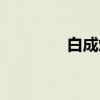 白成焕（关于白成焕介绍）