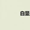 白显道（关于白显道介绍）