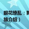 眼花缭乱：舞蹈之旅（关于眼花缭乱：舞蹈之旅介绍）