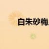 白朱砂梅片（关于白朱砂梅片介绍）
