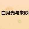 白月光与朱砂痣（关于白月光与朱砂痣介绍）