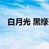 白月光 黑绿茶（关于白月光 黑绿茶介绍）