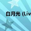 白月光 (Live)（关于白月光 (Live)介绍）