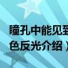 瞳孔中能见到白色反光（关于瞳孔中能见到白色反光介绍）
