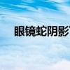 眼镜蛇阴影下(关于眼镜蛇阴影下介绍) 眼镜蛇阴影下(关于眼镜蛇阴影下介绍)