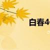白春4号（关于白春4号介绍）