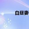 白昼妻子（关于白昼妻子介绍）