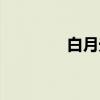 白月光（关于白月光介绍）
