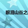 眼泪山谷之战（关于眼泪山谷之战介绍）