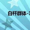 白杄群体-19（关于白杄群体-19介绍）