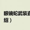 眼镜蛇武装直升机（关于眼镜蛇武装直升机介绍）