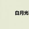 白月光下（关于白月光下介绍）